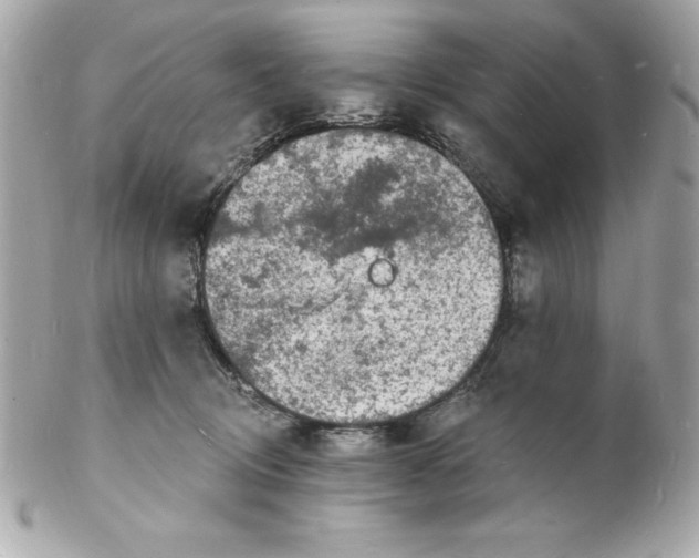 X0000102220370200808151711