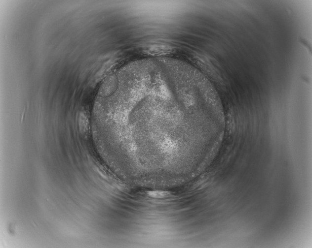 X0000102220371200808151711