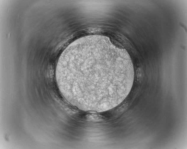 X0000102220372200808151711