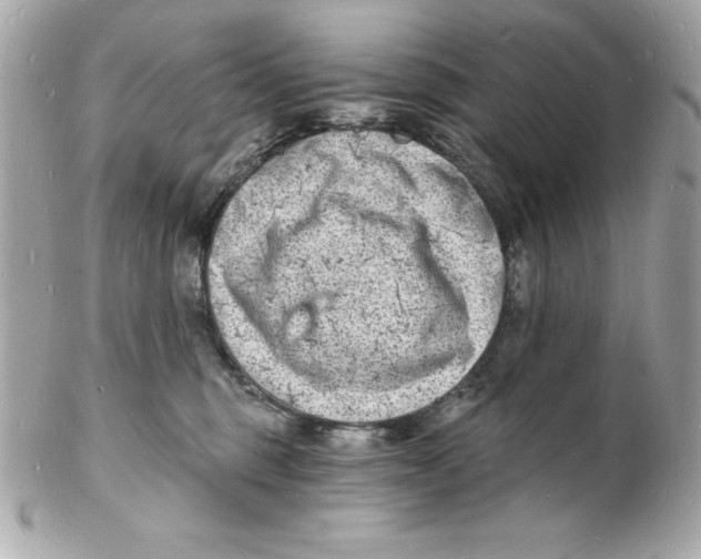 X0000102220375200808151711