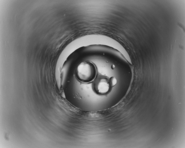 X0000102220376200808151711