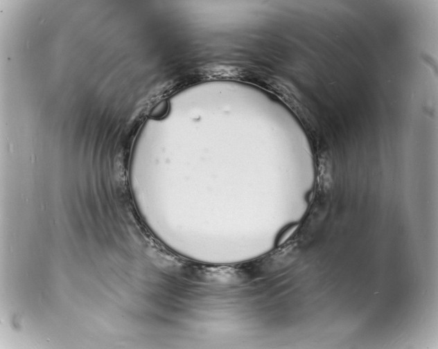 X0000102220377200808151711