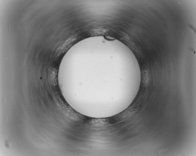 X0000102220378200808151711