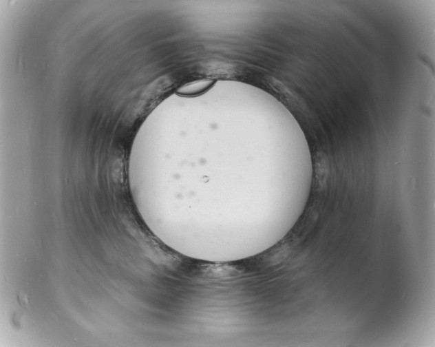 X0000102220379200808151711