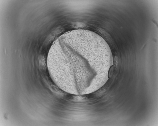 X0000102220380200808151711