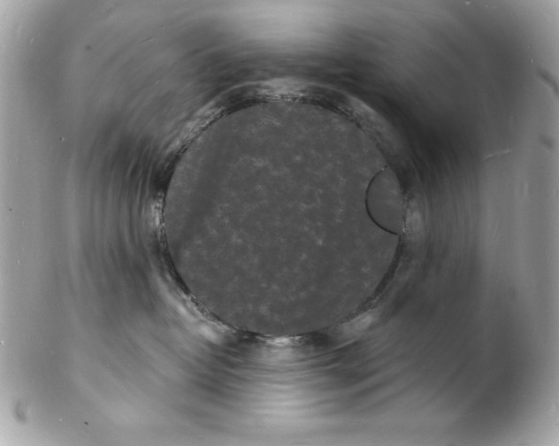 X0000102220382200808151711