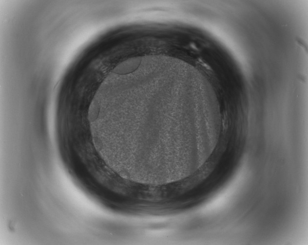 X0000102220383200808151711