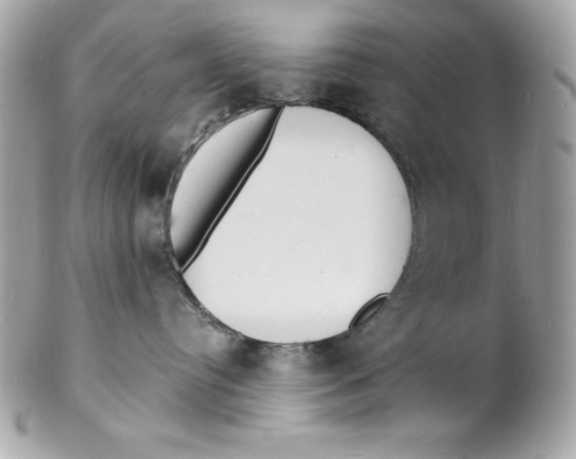 X0000102220384200808151711