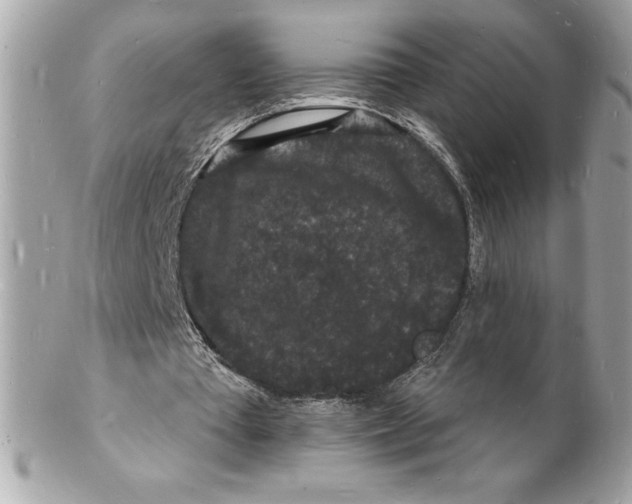 X0000102220385200808151710