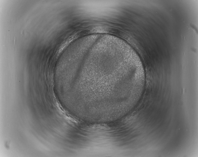 X0000102220386200808151710