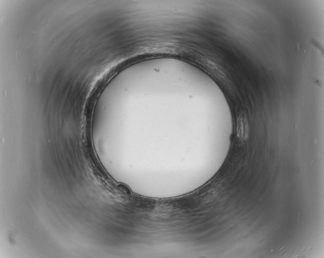 X0000102220388200808151710