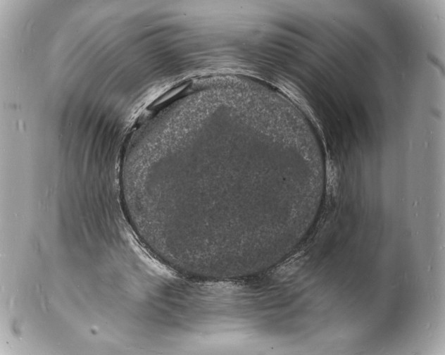 X0000102220389200808151710