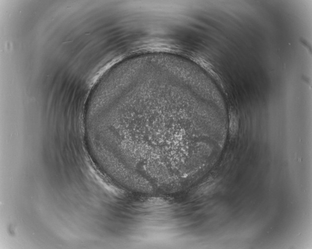 X0000102220390200808151710