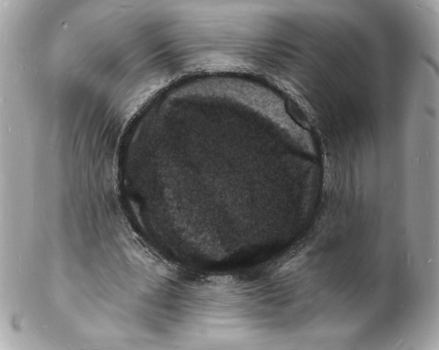 X0000102220391200808151710