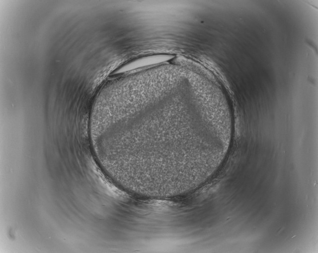 X0000102220393200808151710