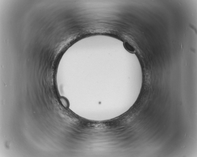 X0000102220395200808151710