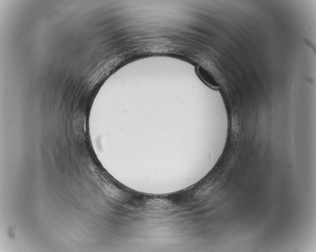 X0000102220397200808151710