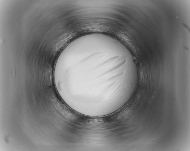 X0000102220398200808151710