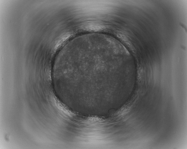 X0000102220399200808151710