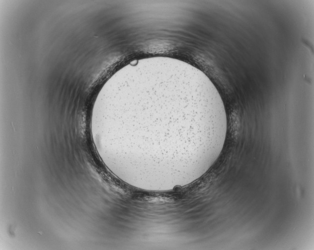 X0000102220400200808151710