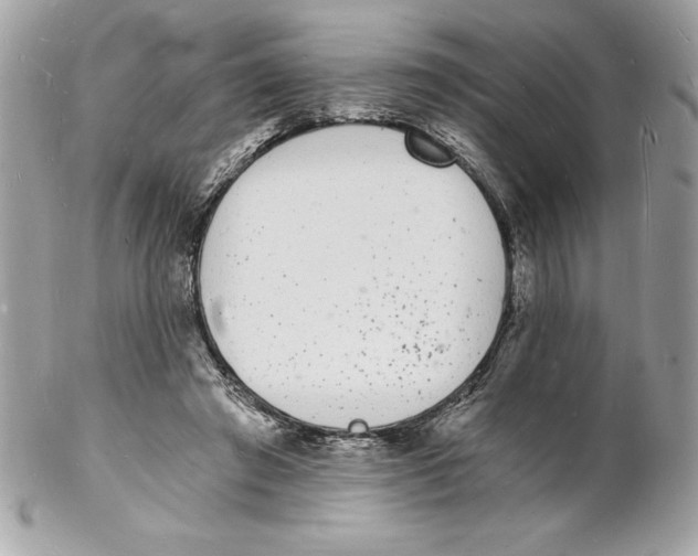 X0000102220401200808151710