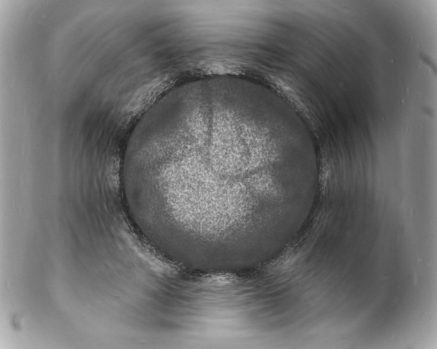 X0000102220402200808151710