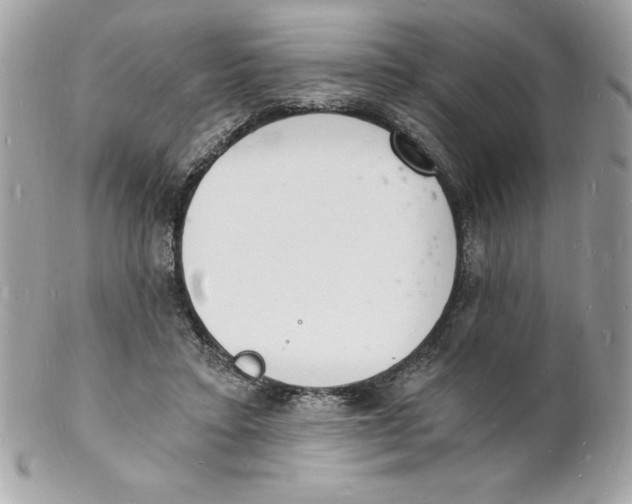 X0000102220403200808151710