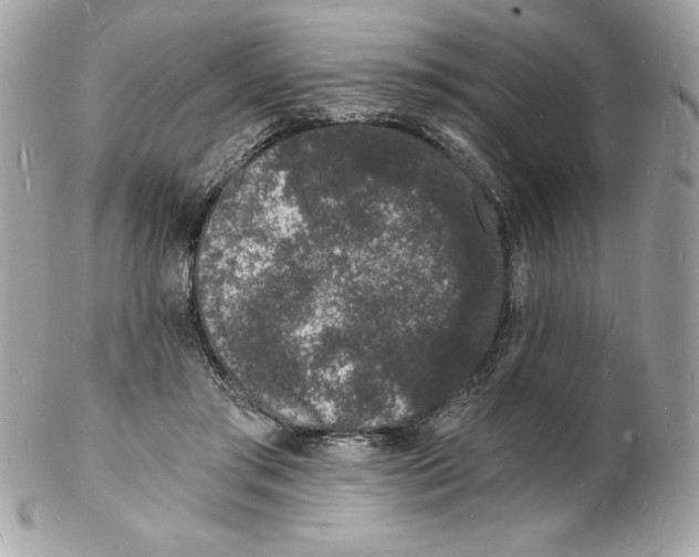 X0000102220405200808151710