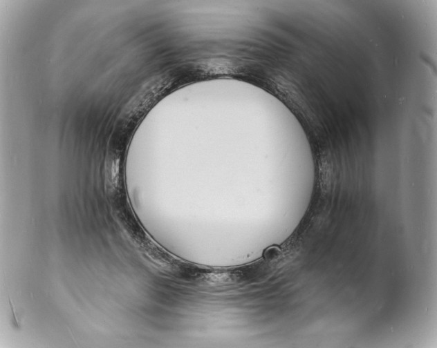 X0000102220406200808151710