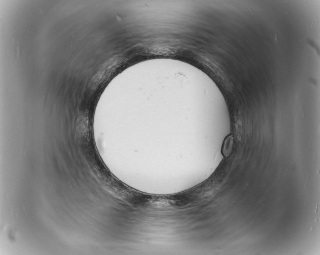 X0000102220407200808151710