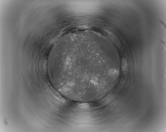 X0000102220409200808151710