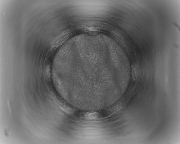 X0000102220410200808151710