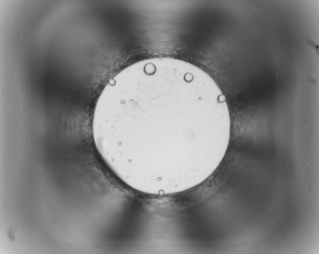 X0000102220411200808151710