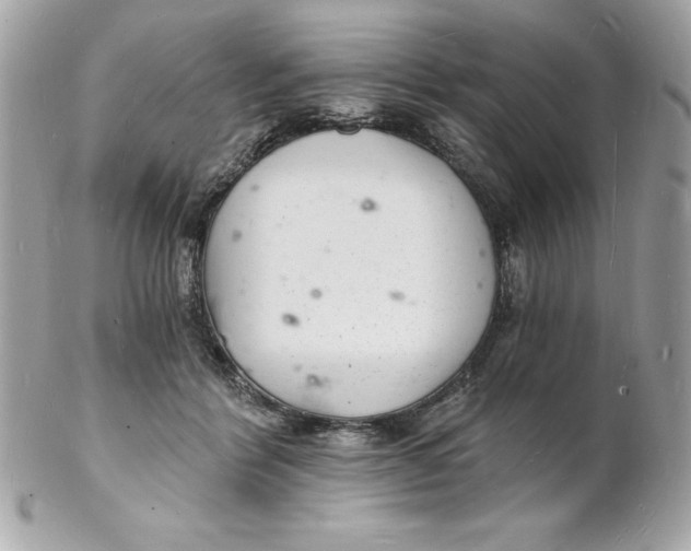 X0000102220412200808151710