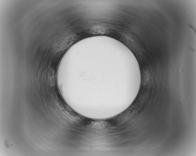 X0000102220414200808151710