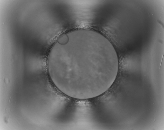 X0000102220415200808151710