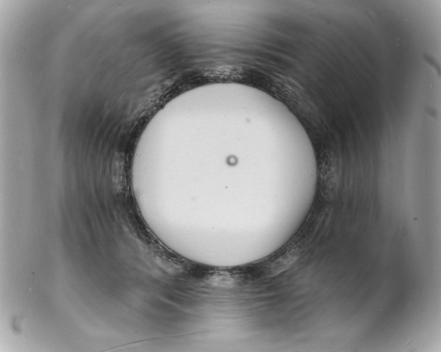 X0000102220416200808151710