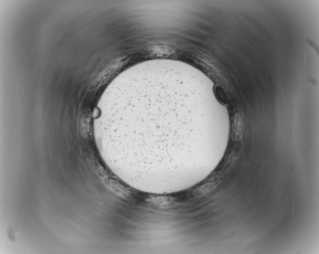 X0000102220417200808151710