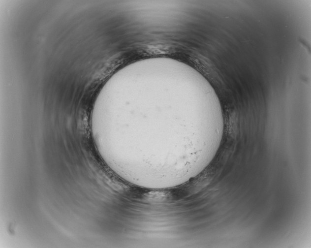 X0000102220418200808151710