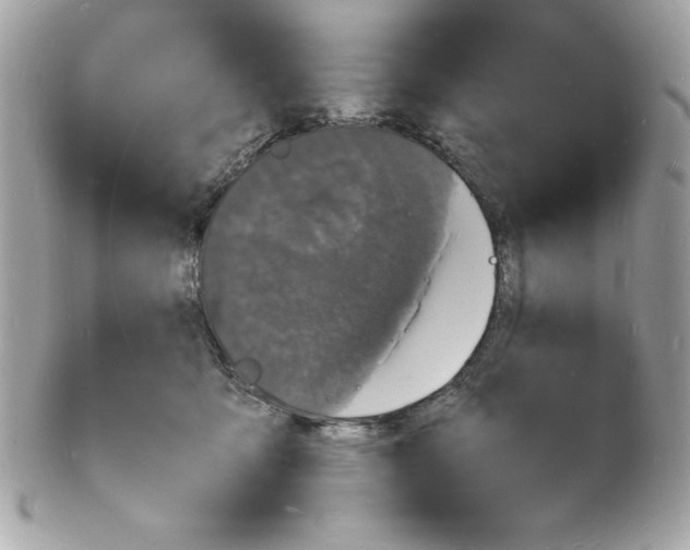 X0000102220419200808151710