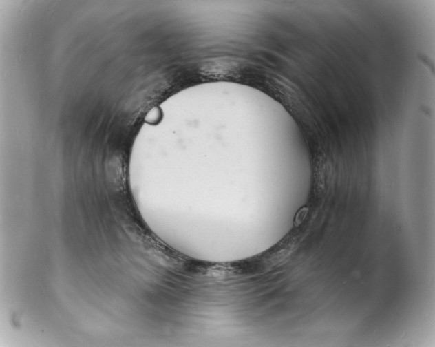 X0000102220420200808151710