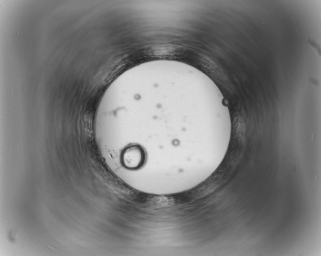 X0000102220421200808151710