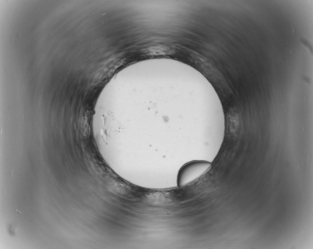 X0000102220422200808151710