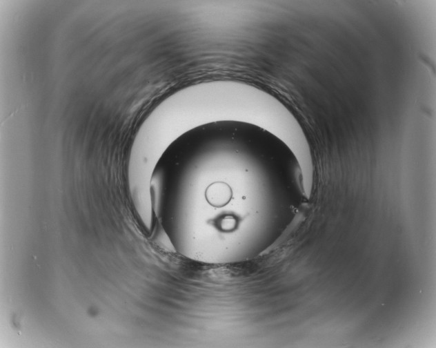 X0000102220423200808151710