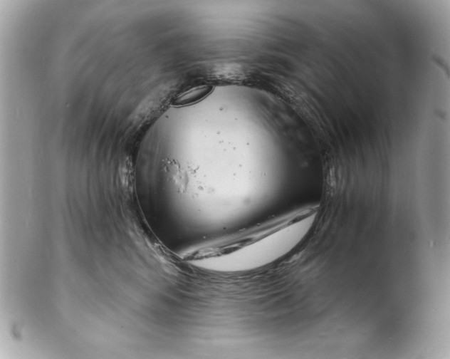 X0000102220424200808151710