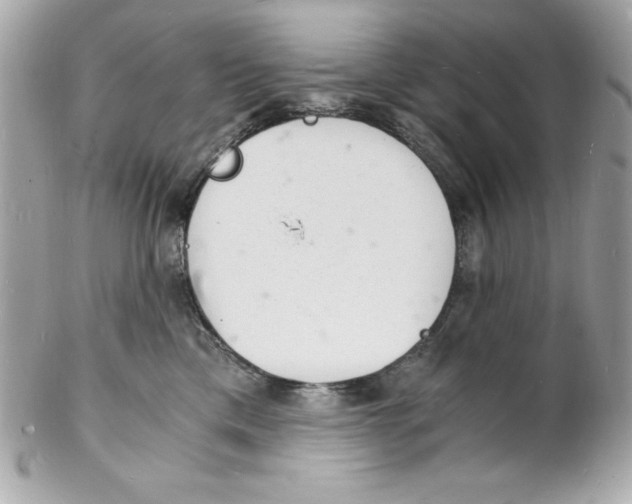 X0000102220425200808151710