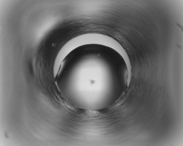 X0000102220429200808151710