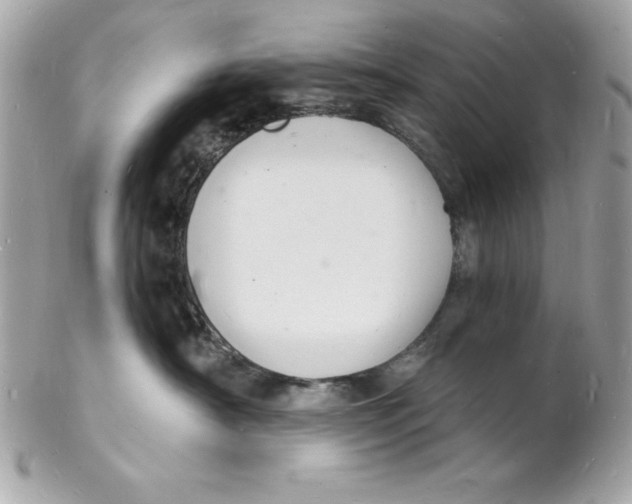 X0000102220430200808151710