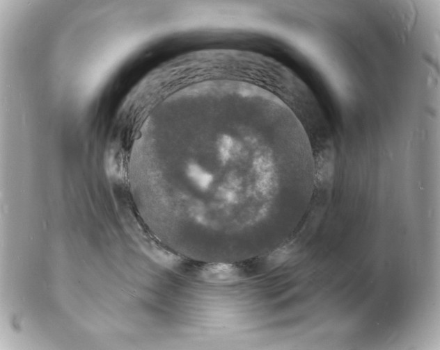 X0000102220431200808151710