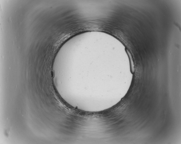 X0000102220433200808151709